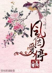 风因爱停