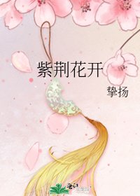 紫荆花开