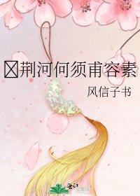 荆河何须甫容素
