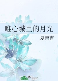 唯心城里的月光