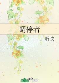 调停者