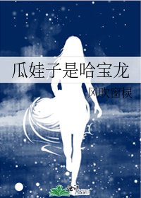 瓜娃子是哈宝龙