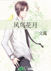 风鸟花月