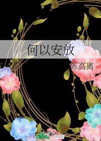 何以安放