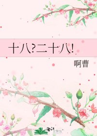 十八?二十八!