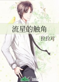流星的触角