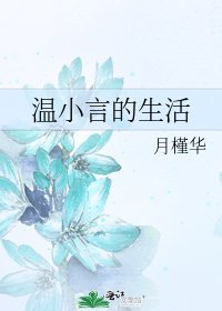 温小言的生活