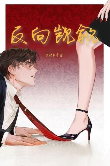 反向觊觎