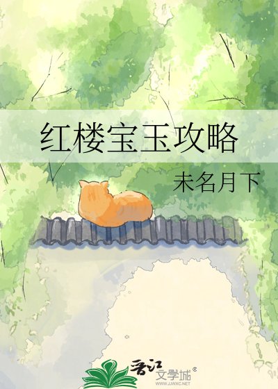 红楼宝玉攻略